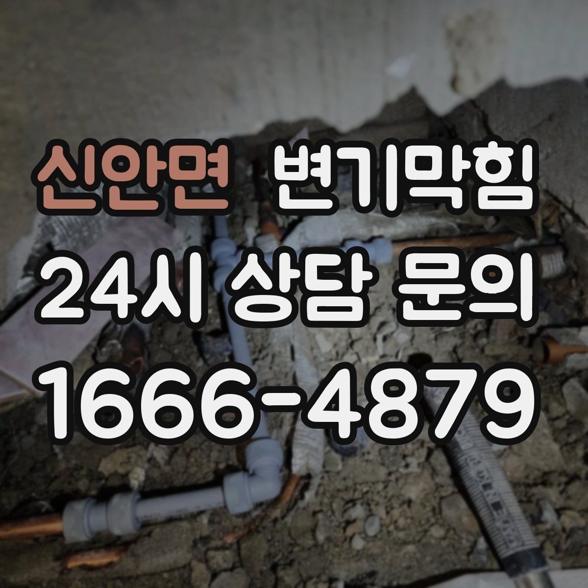 신안면 변기막힘 아파트 배수구막힘 사진·수치 공개