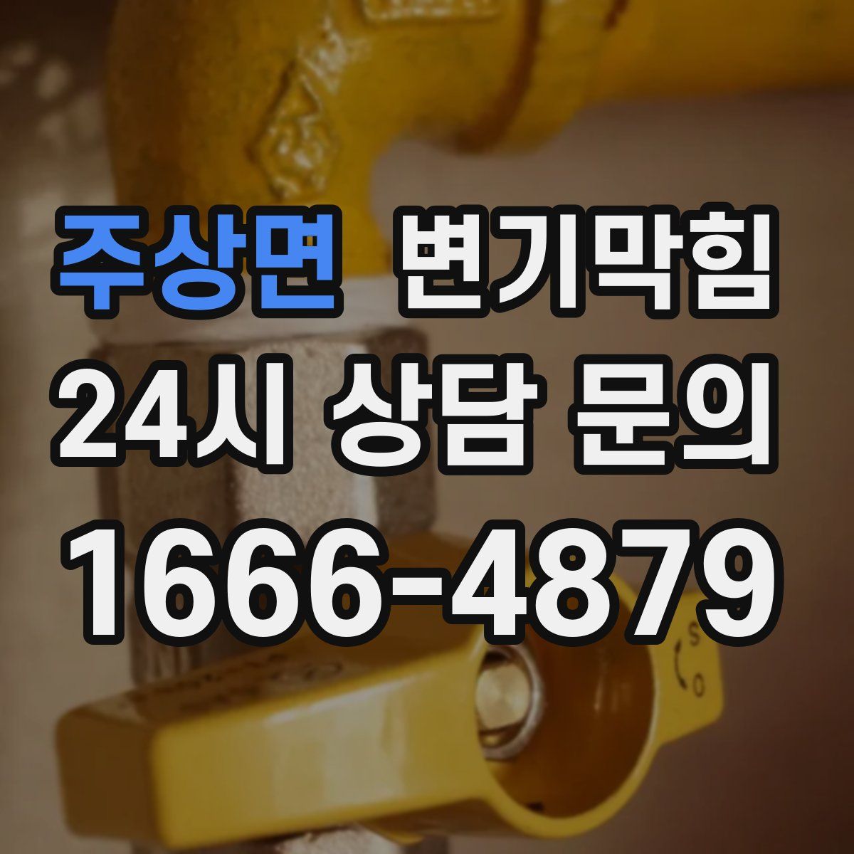 주상면 변기막힘