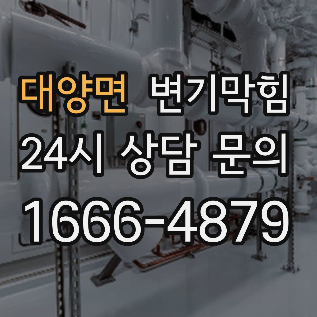 대양면 변기막힘