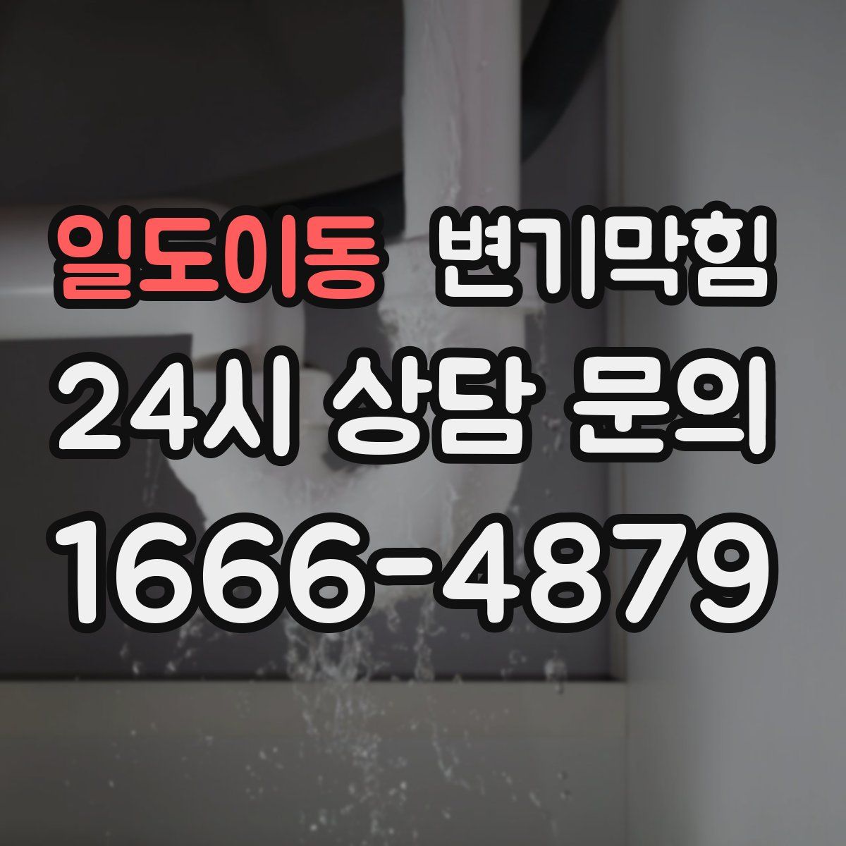 일도이동 변기막힘