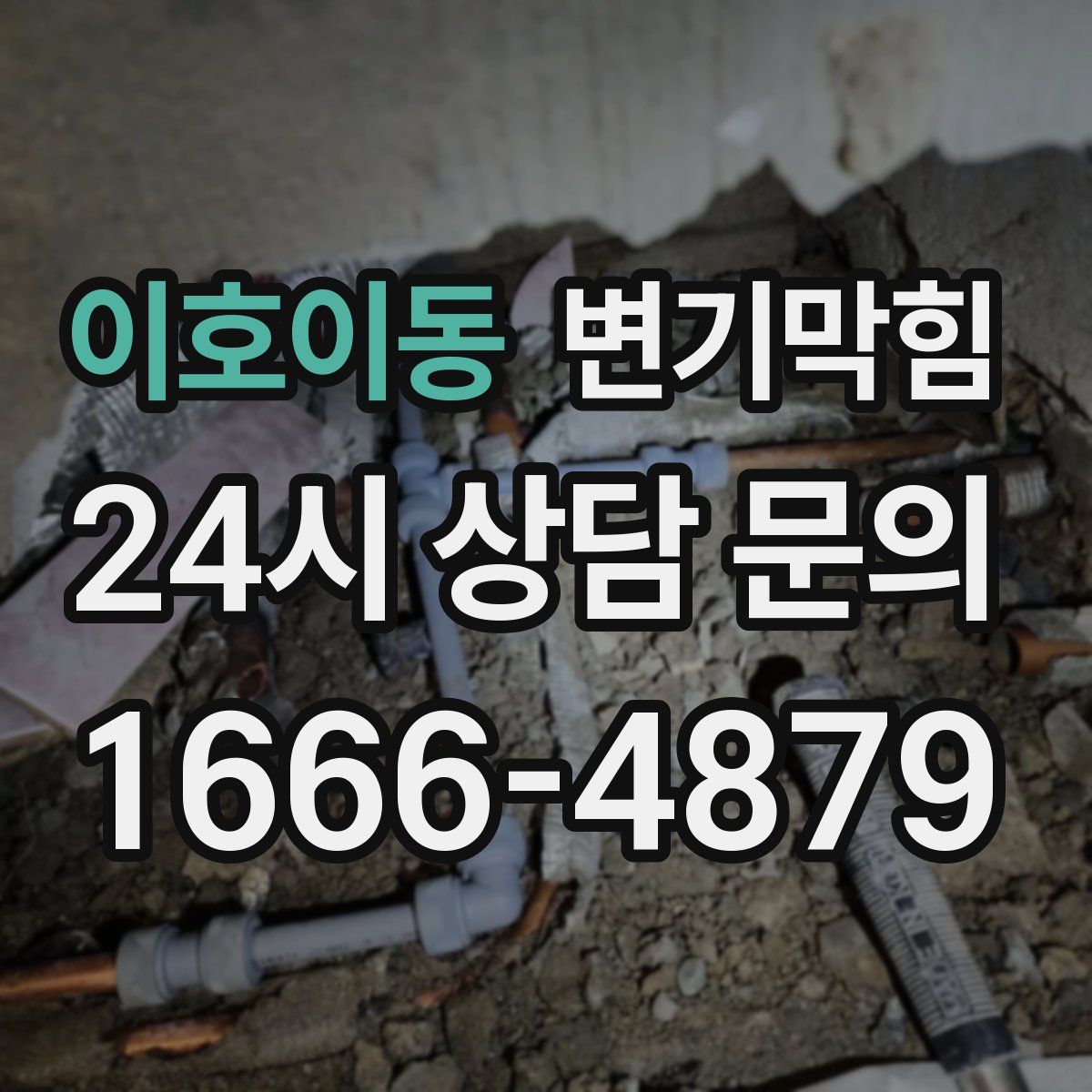 이호이동 변기막힘