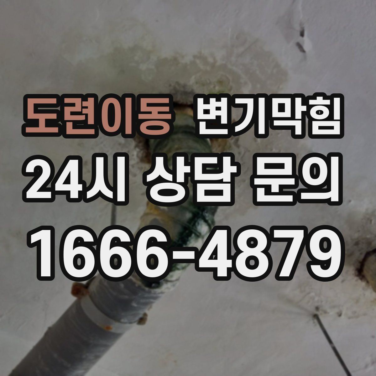 도련이동 변기막힘 장마 시즌 표준 운영 루틴