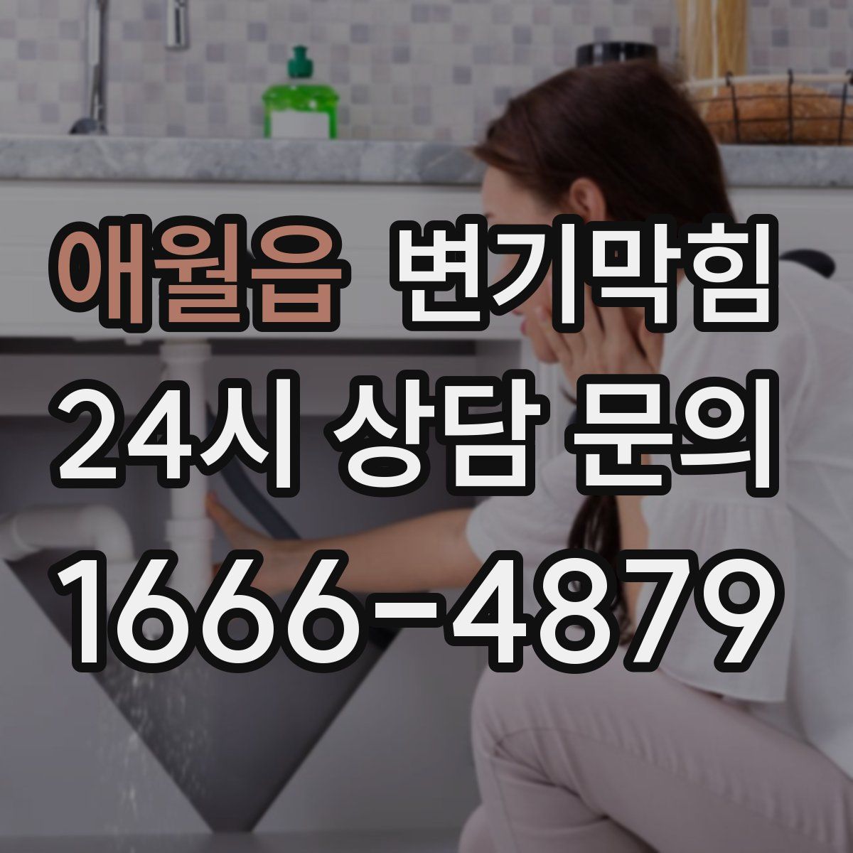 애월읍 변기막힘