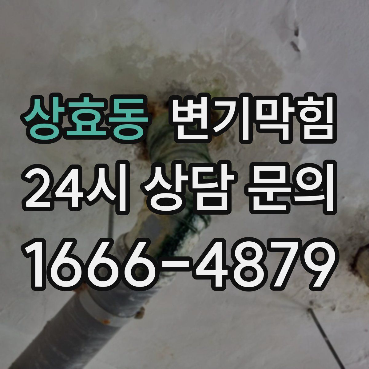 상효동 변기막힘