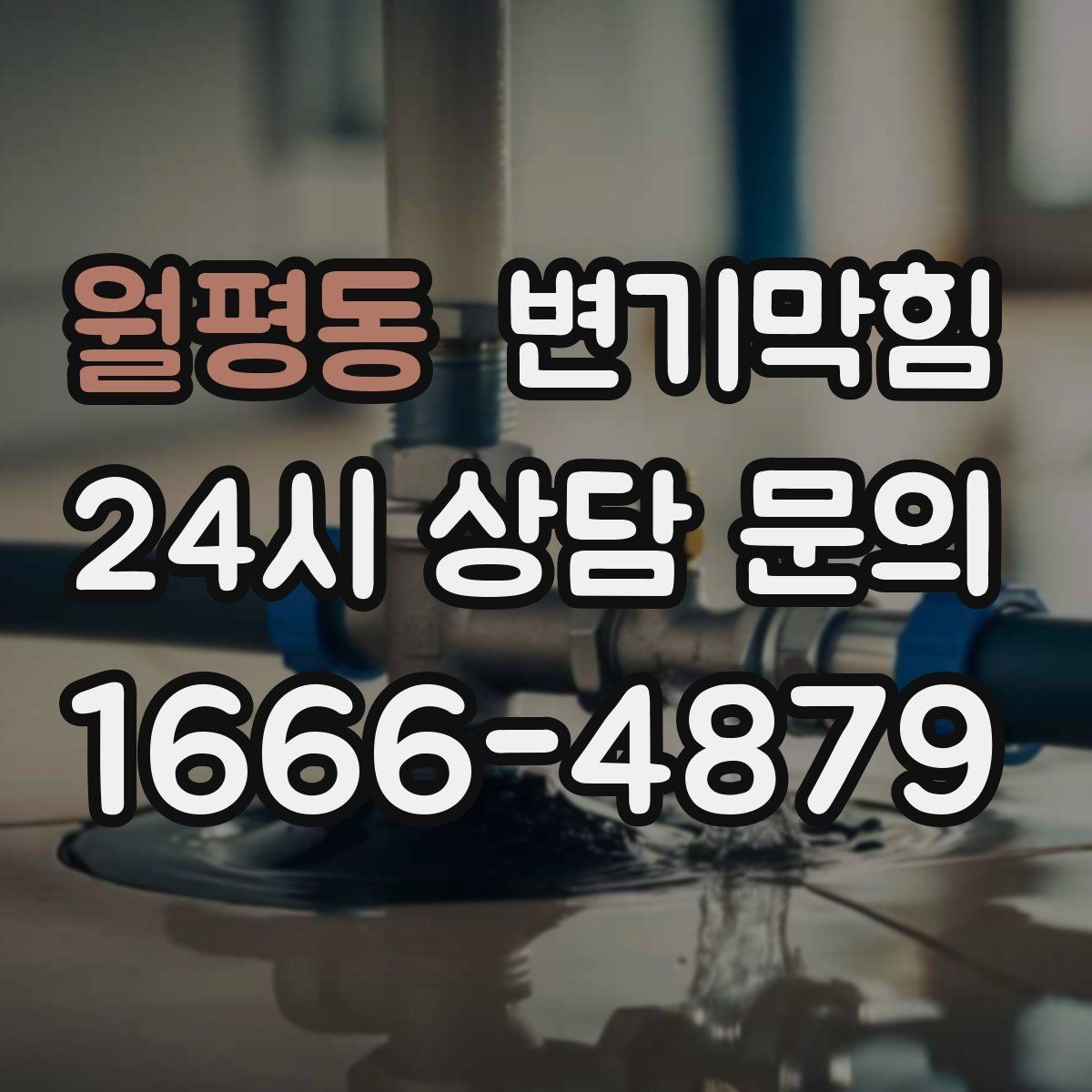 월평동 변기막힘 빌라 배수구막힘 저층 역류 안정화