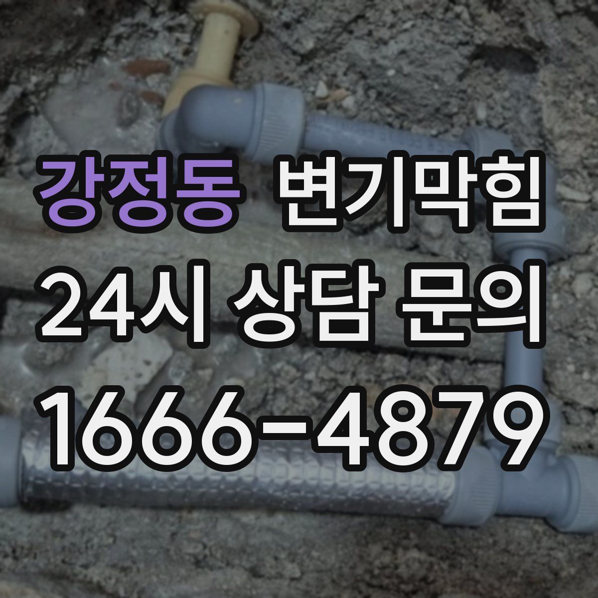 강정동 변기막힘