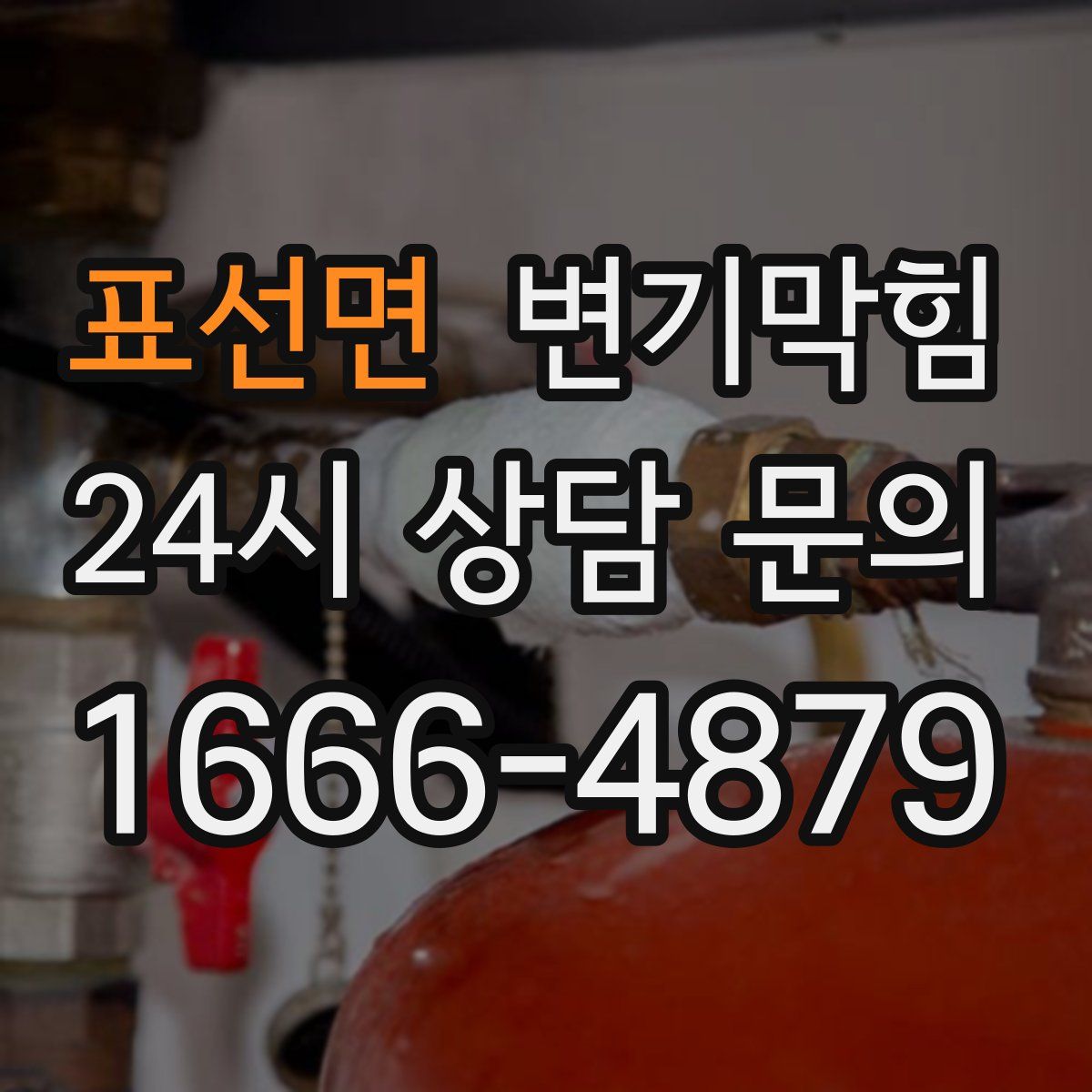 표선면 변기막힘