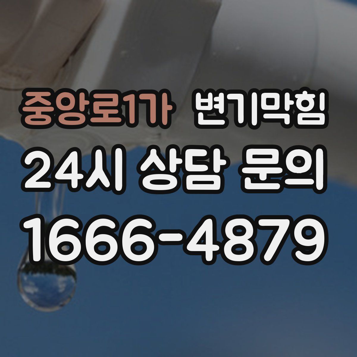 중앙로1가 변기막힘