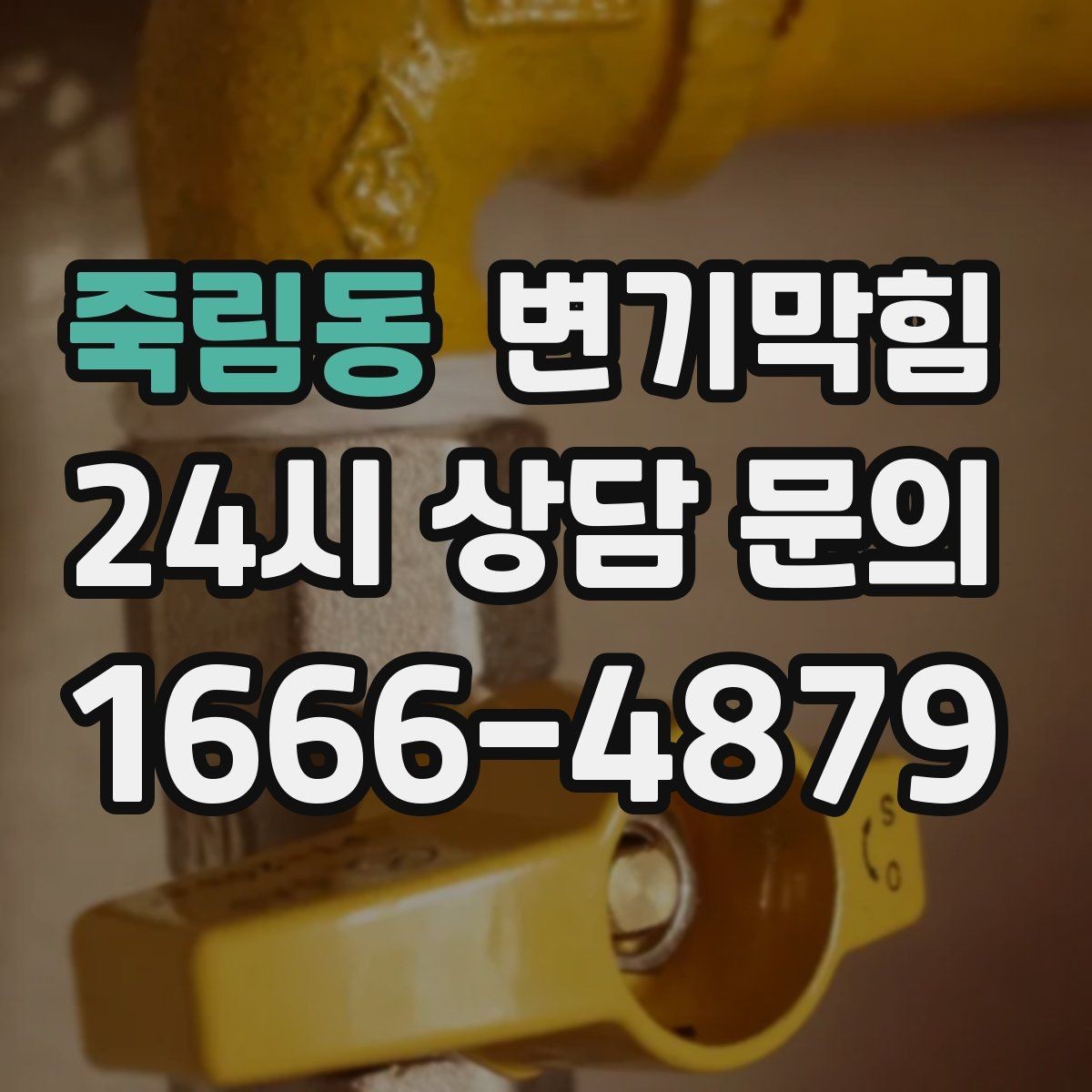 죽림동 변기막힘 변기막혔을때 통기 불량 구별법