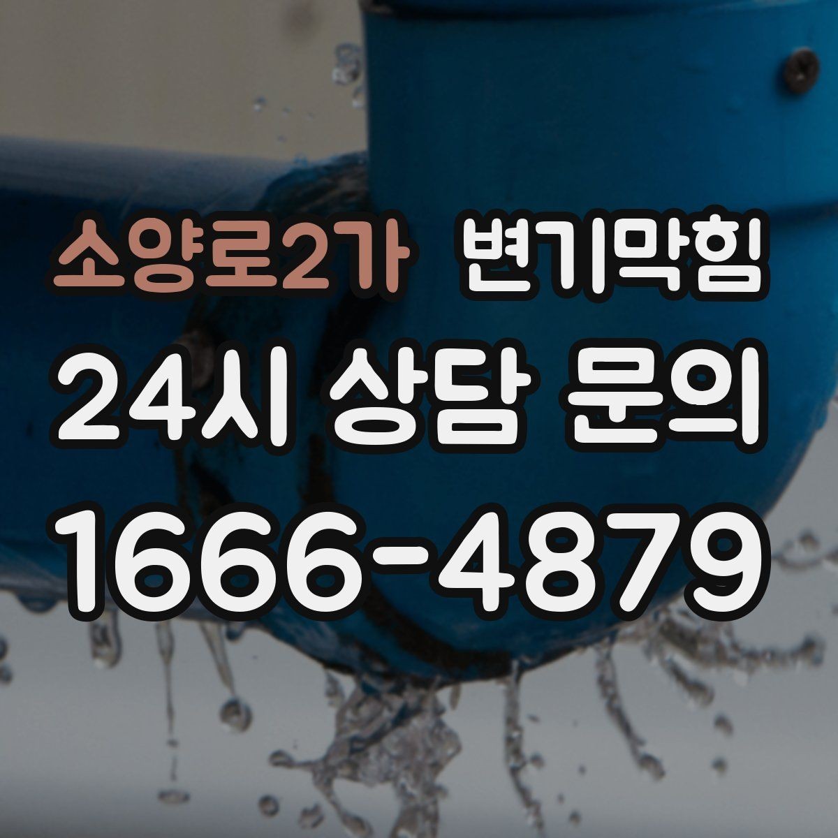 소양로2가 변기막힘 변기뚫는업체 후기 대신 체크포인트