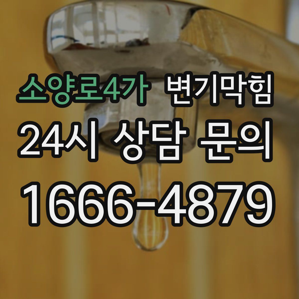 소양로4가 변기막힘