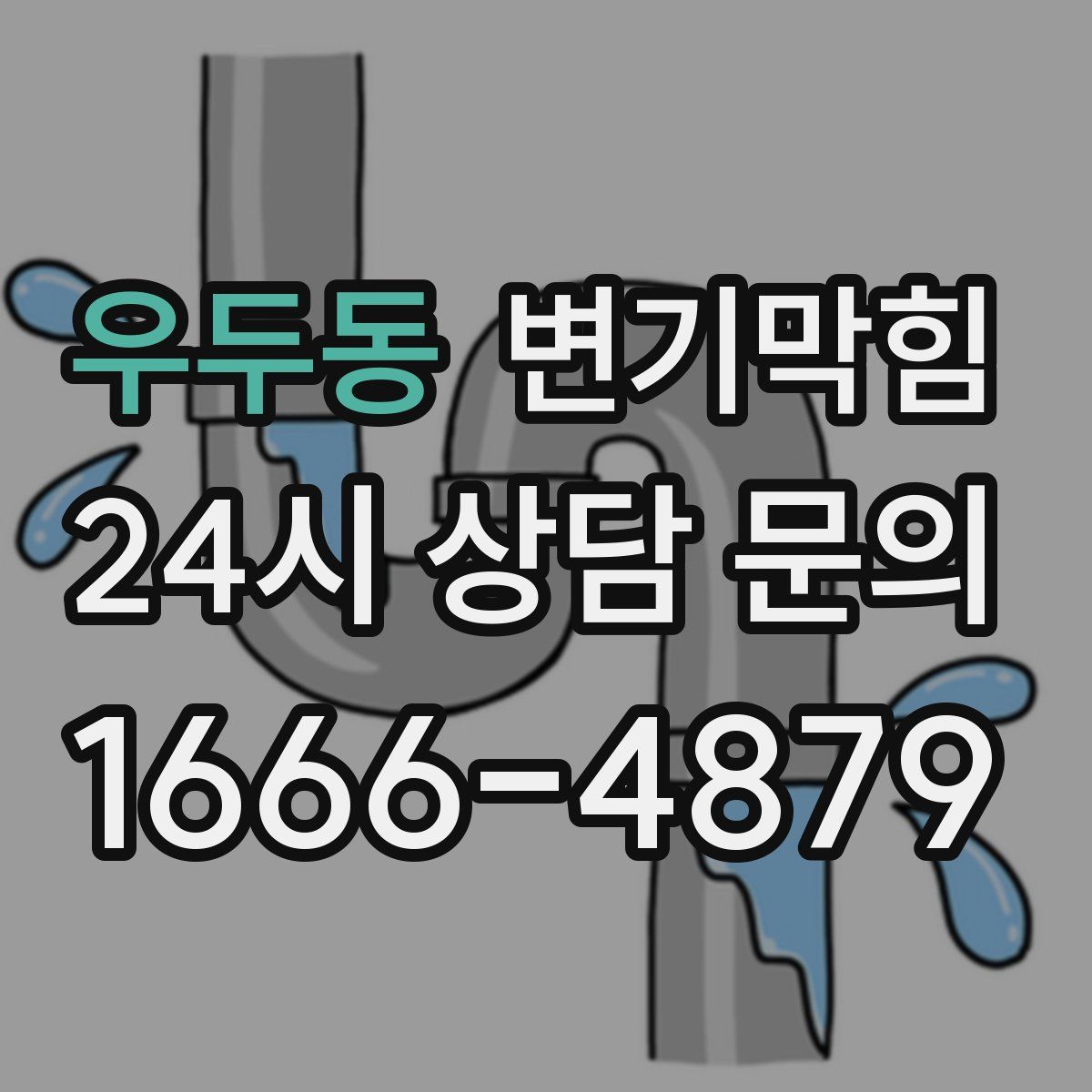 우두동 변기막힘