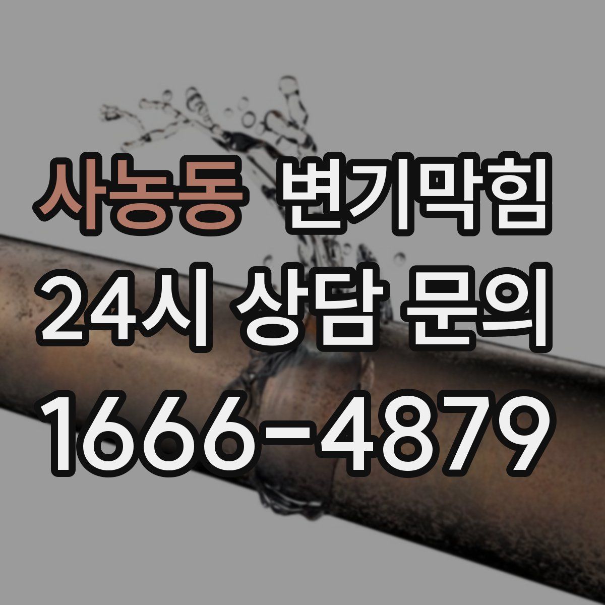 사농동 변기막힘