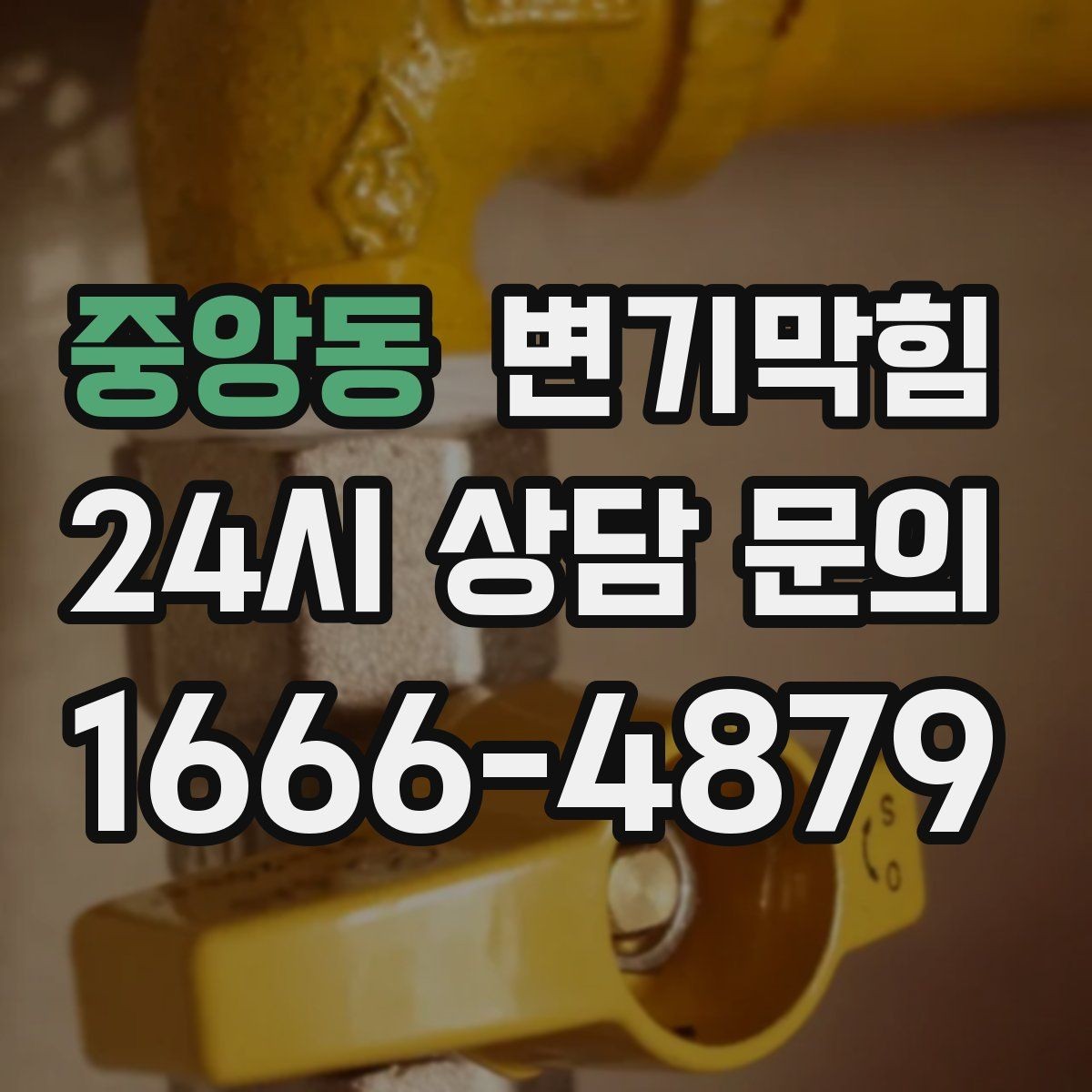 중앙동 변기막힘 식당 변기뚫기 합류 압력 재세팅