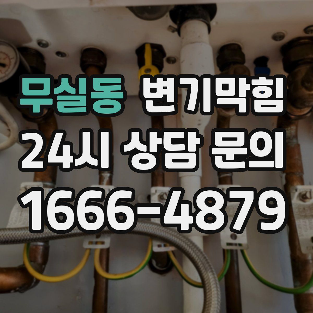 무실동 변기막힘