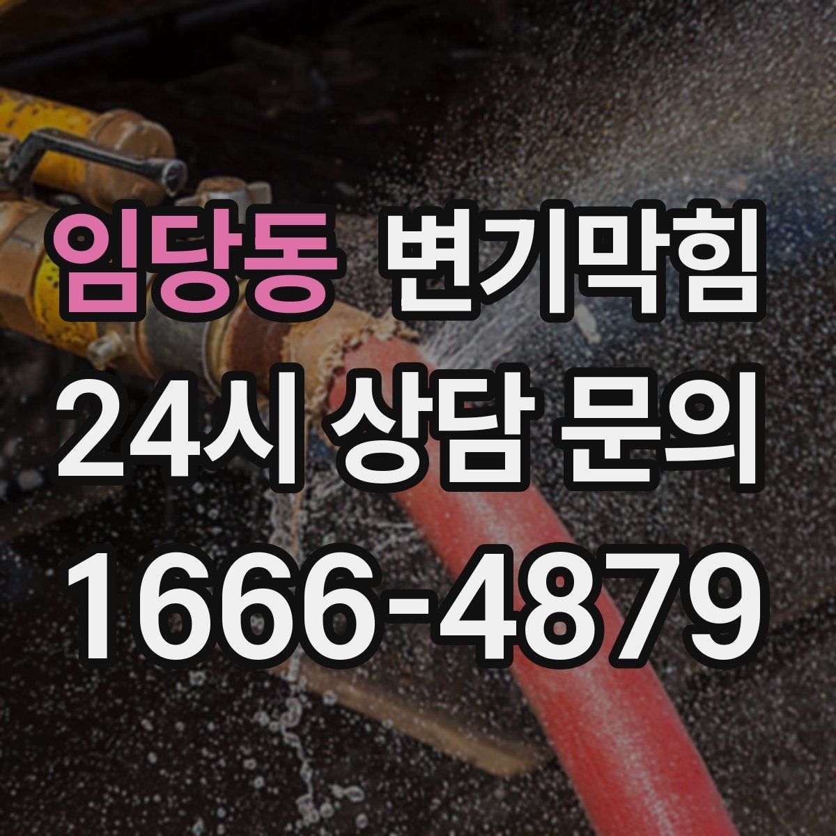 임당동 변기막힘