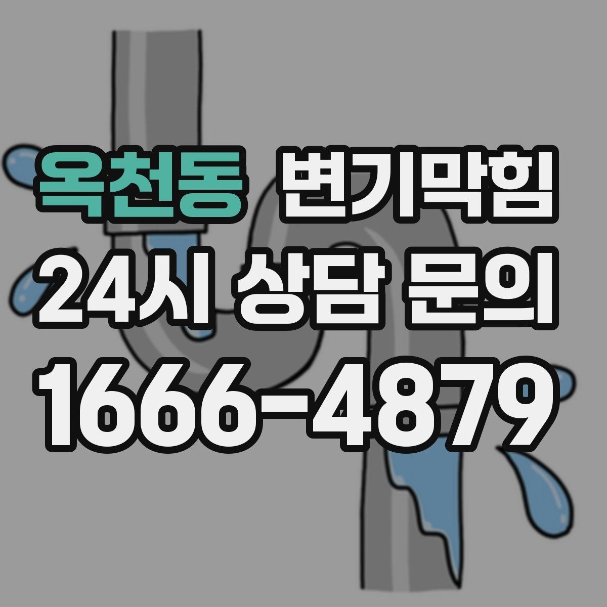 옥천동 변기막힘 단독 화장실뚫기 수봉 회복 마감