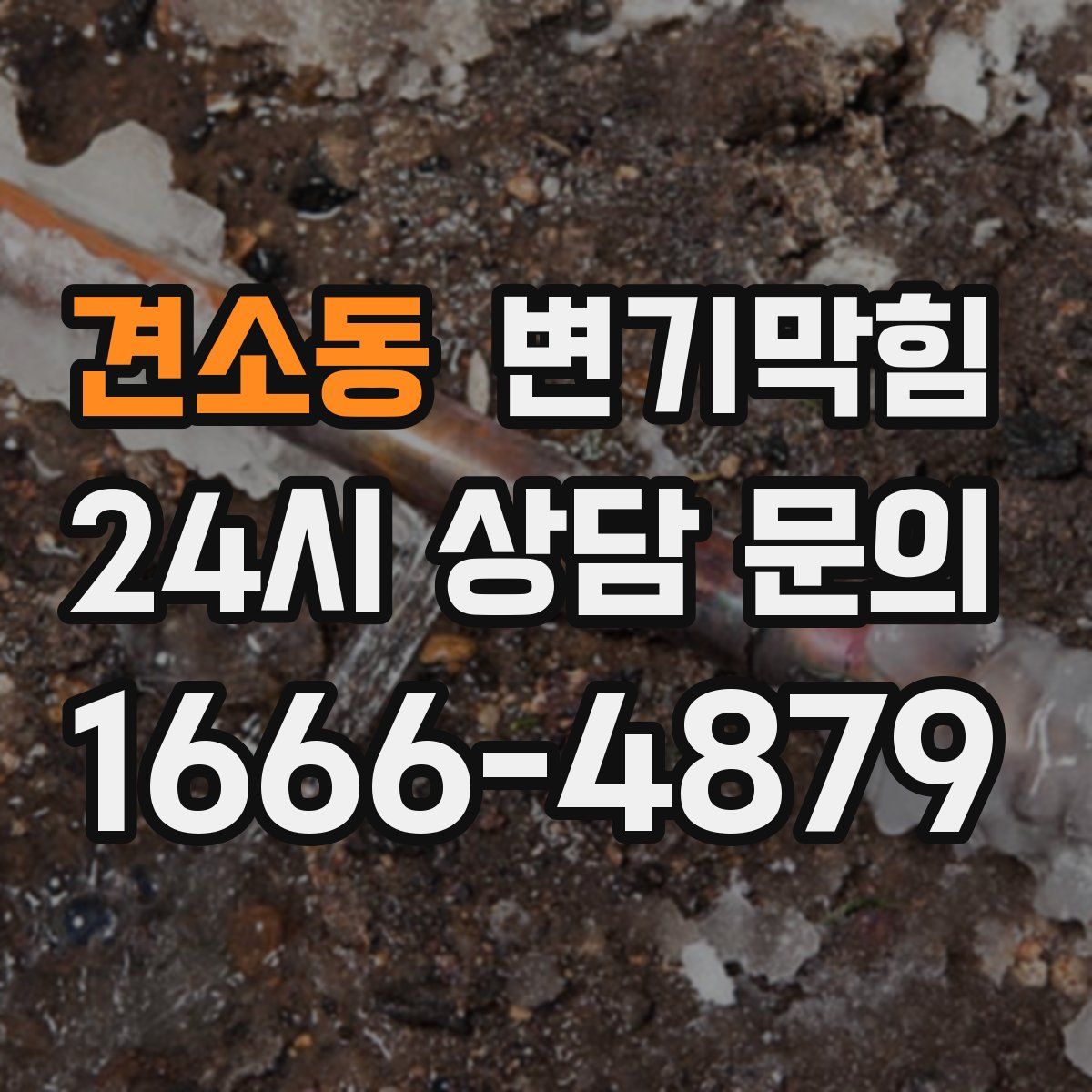 견소동 변기막힘