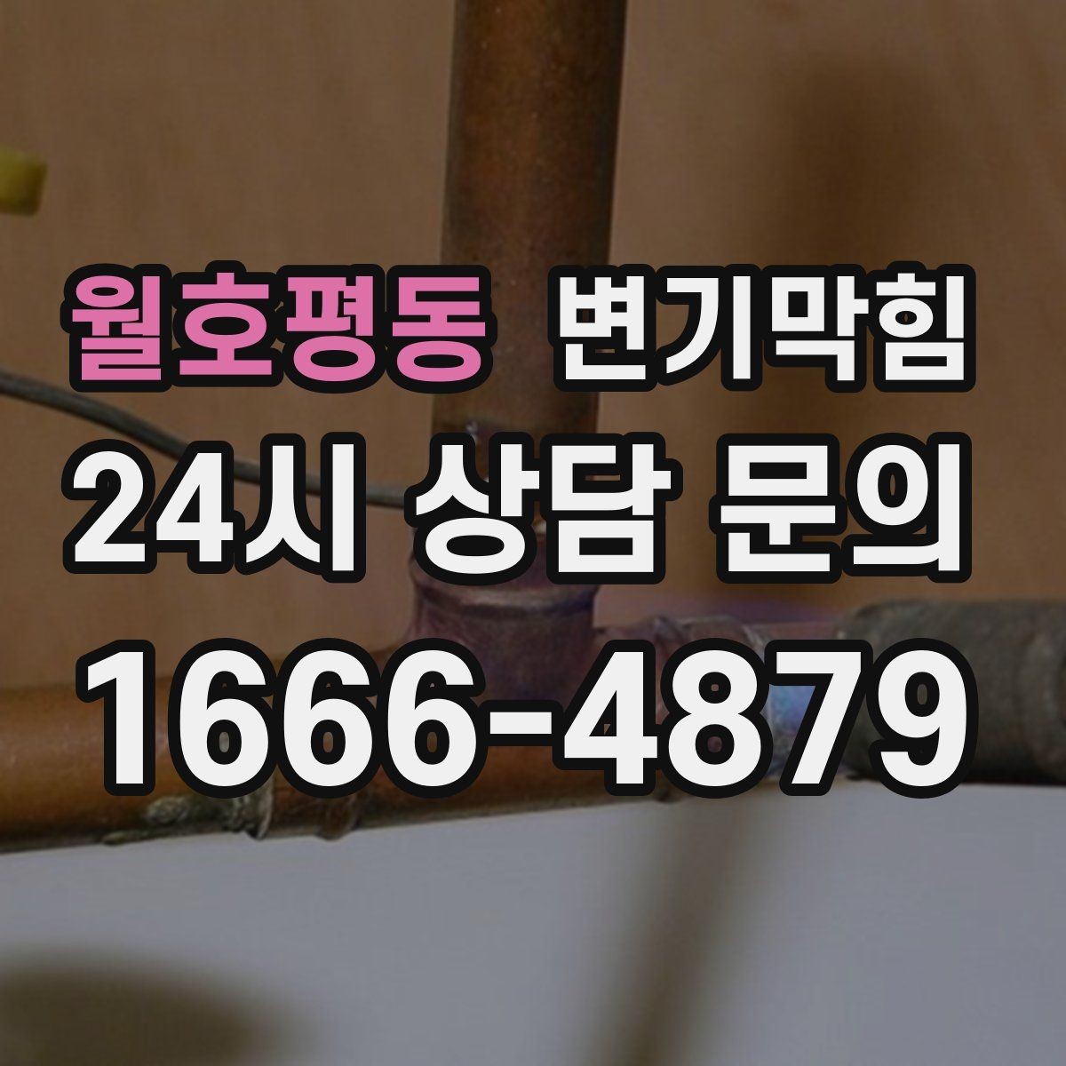 월호평동 변기막힘 아파트 화장실뚫기 사진 리포트 공개