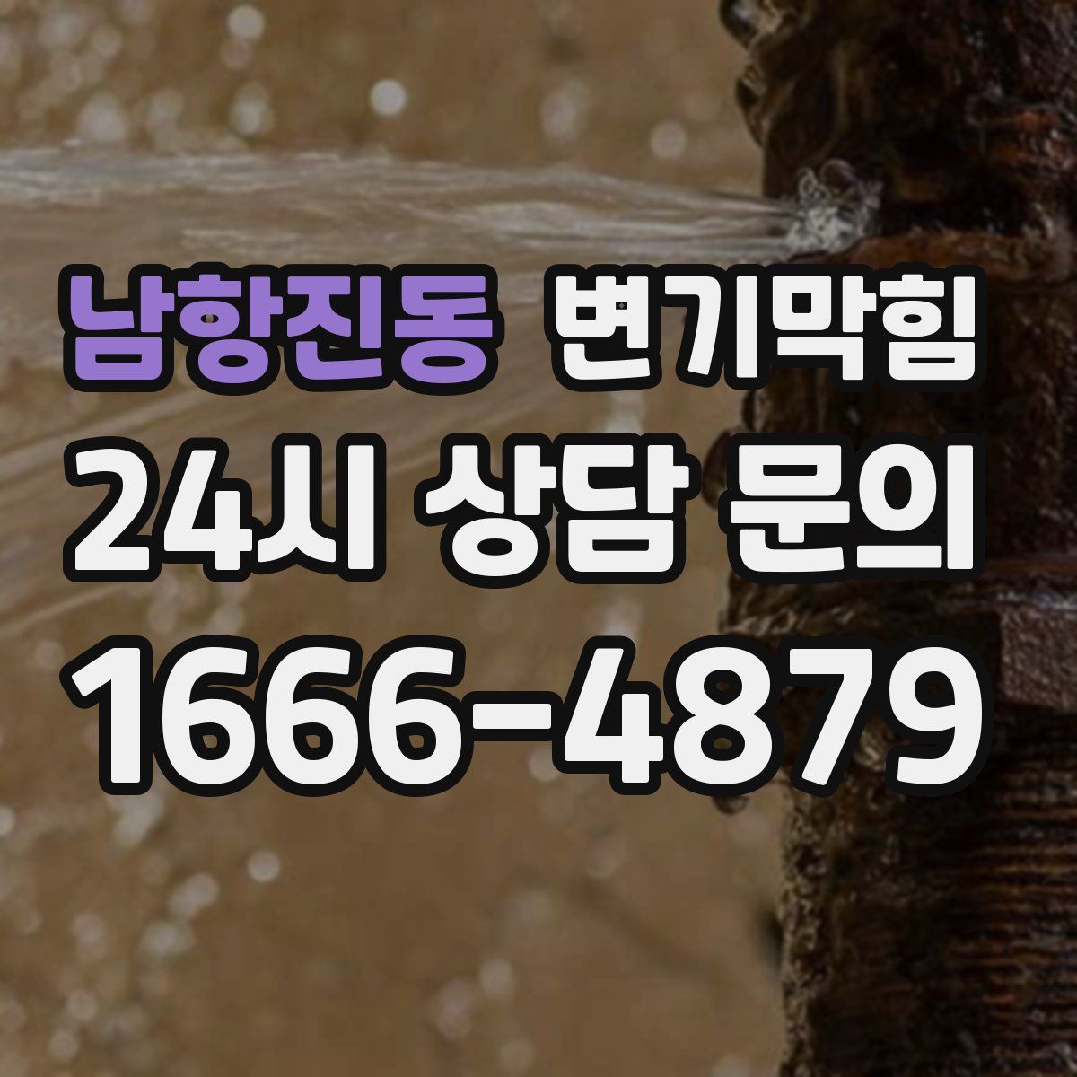 남항진동 변기막힘