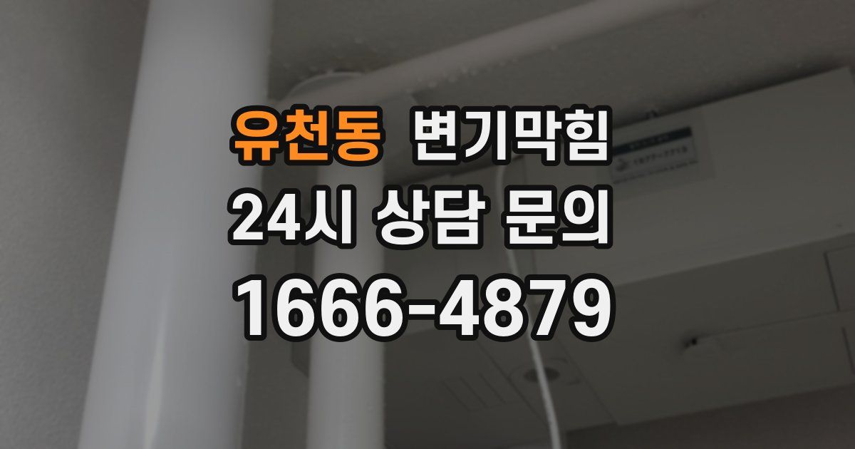 유천동 변기