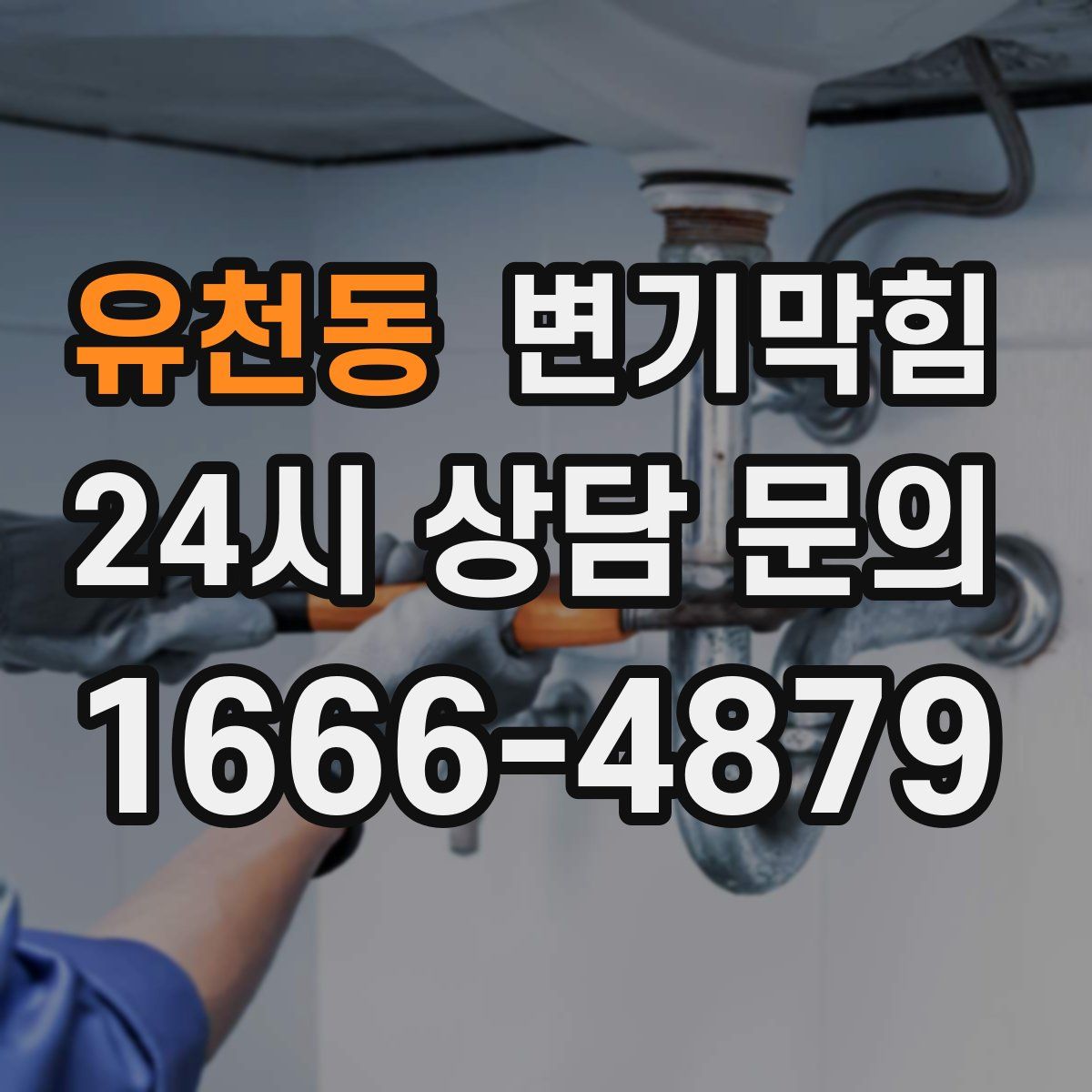 유천동 변기막힘
