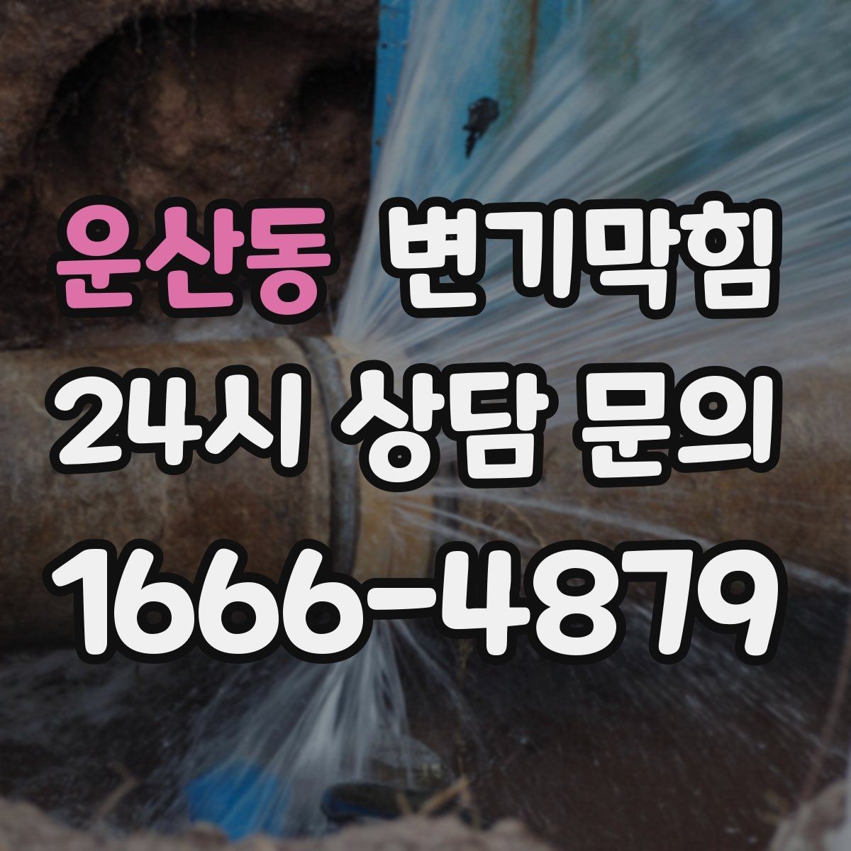 운산동 변기막힘 사무실 배수구막힘 점심 전 복구