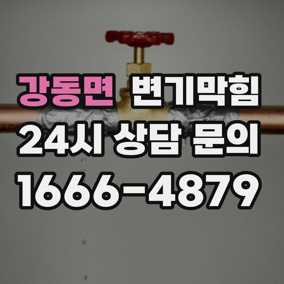 강동면 변기막힘