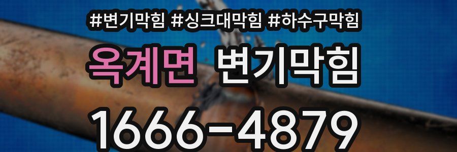 변기막힘