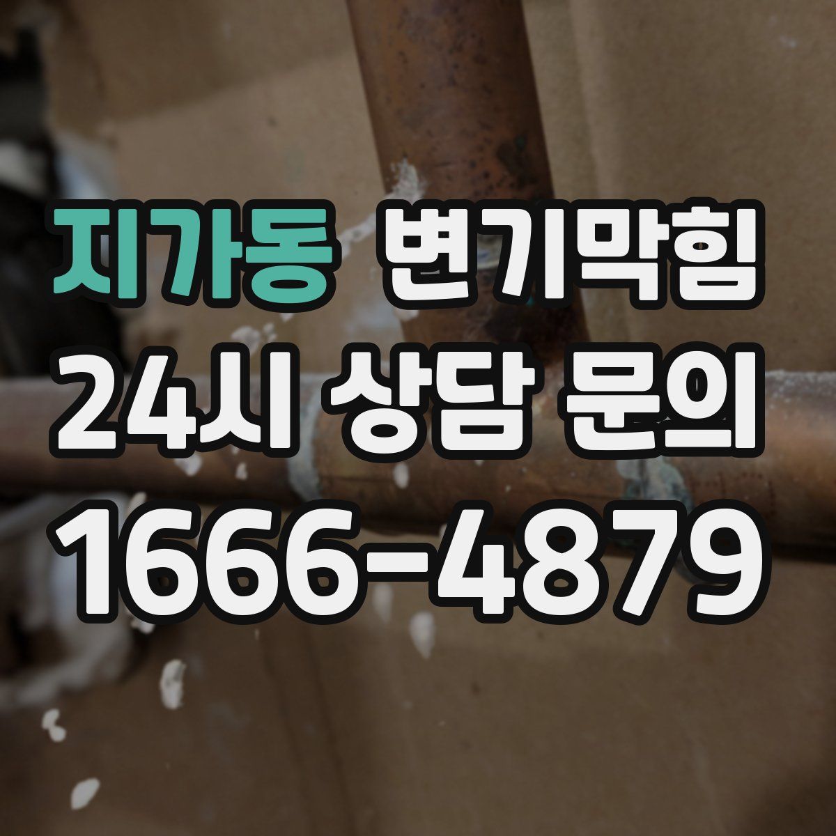 지가동 변기막힘