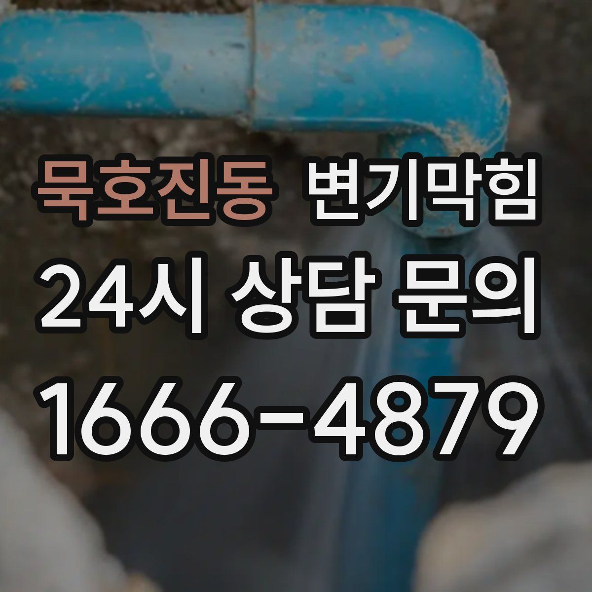 묵호진동 변기막힘