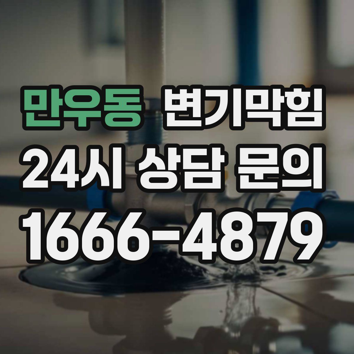 만우동 변기막힘