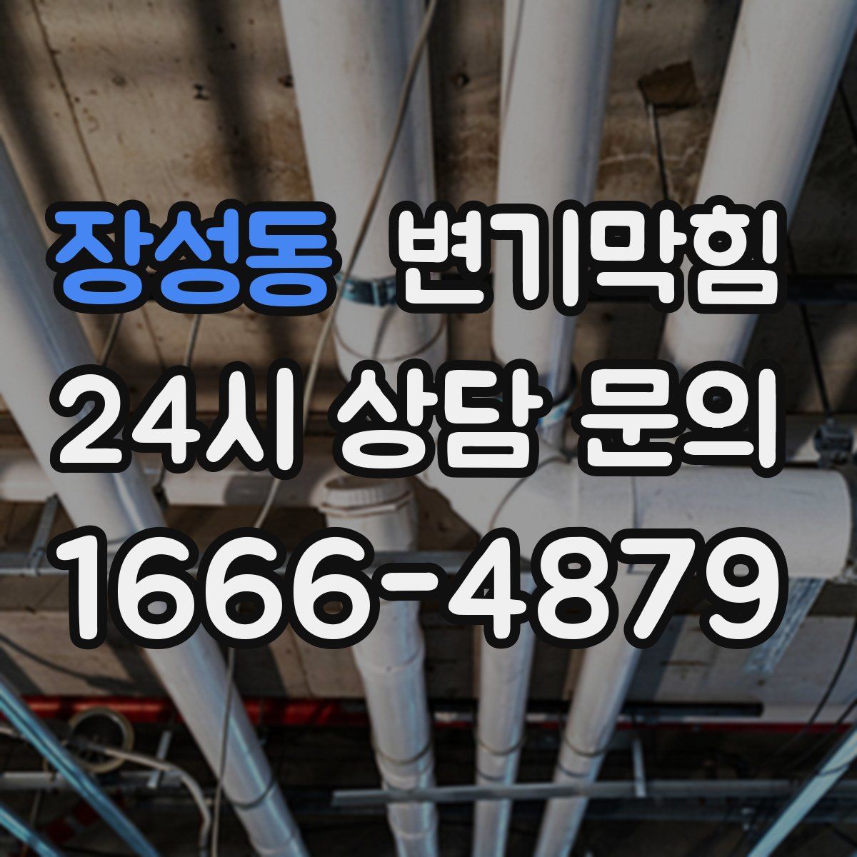 장성동 변기막힘