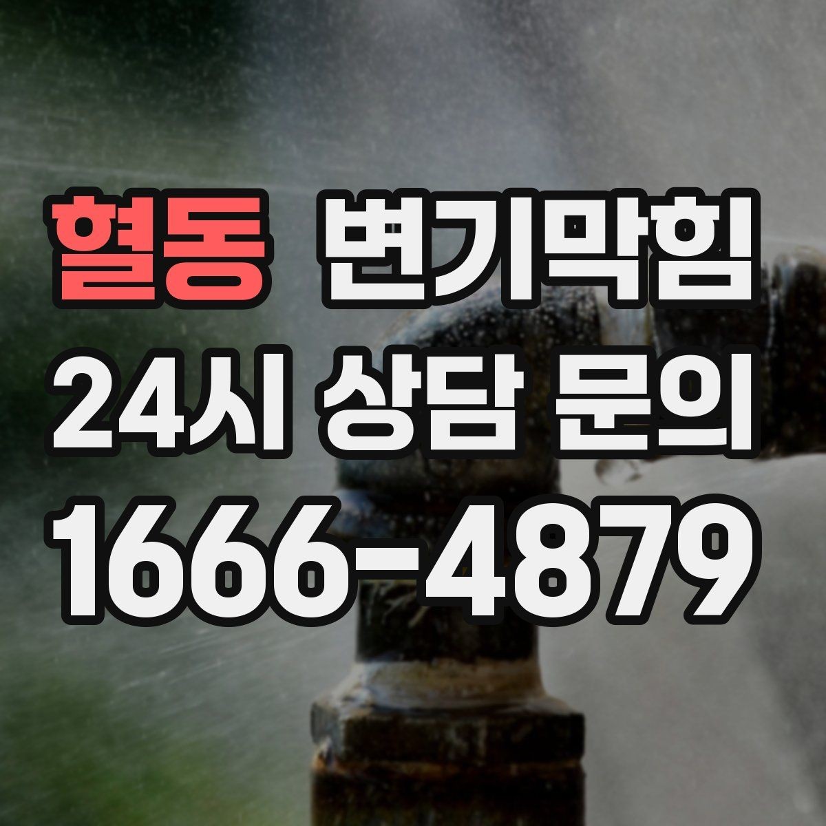 혈동 변기막힘 다가구 배수구막힘 공용 밸브 재세팅