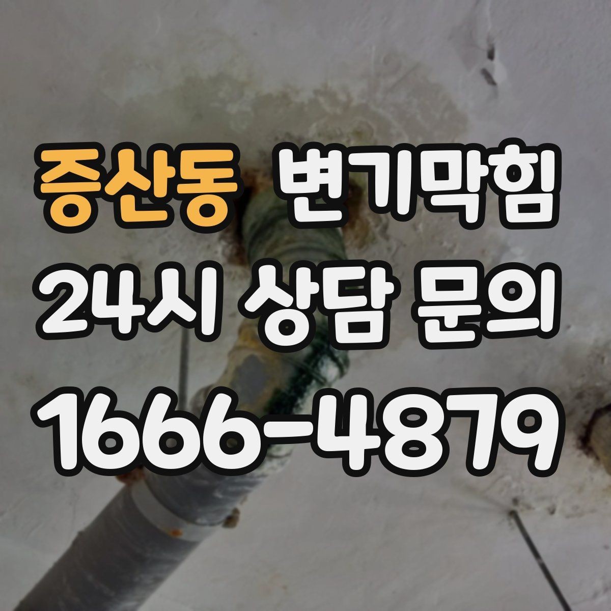 증산동 변기막힘 카페 화장실역류 스탭 교육으로 예방