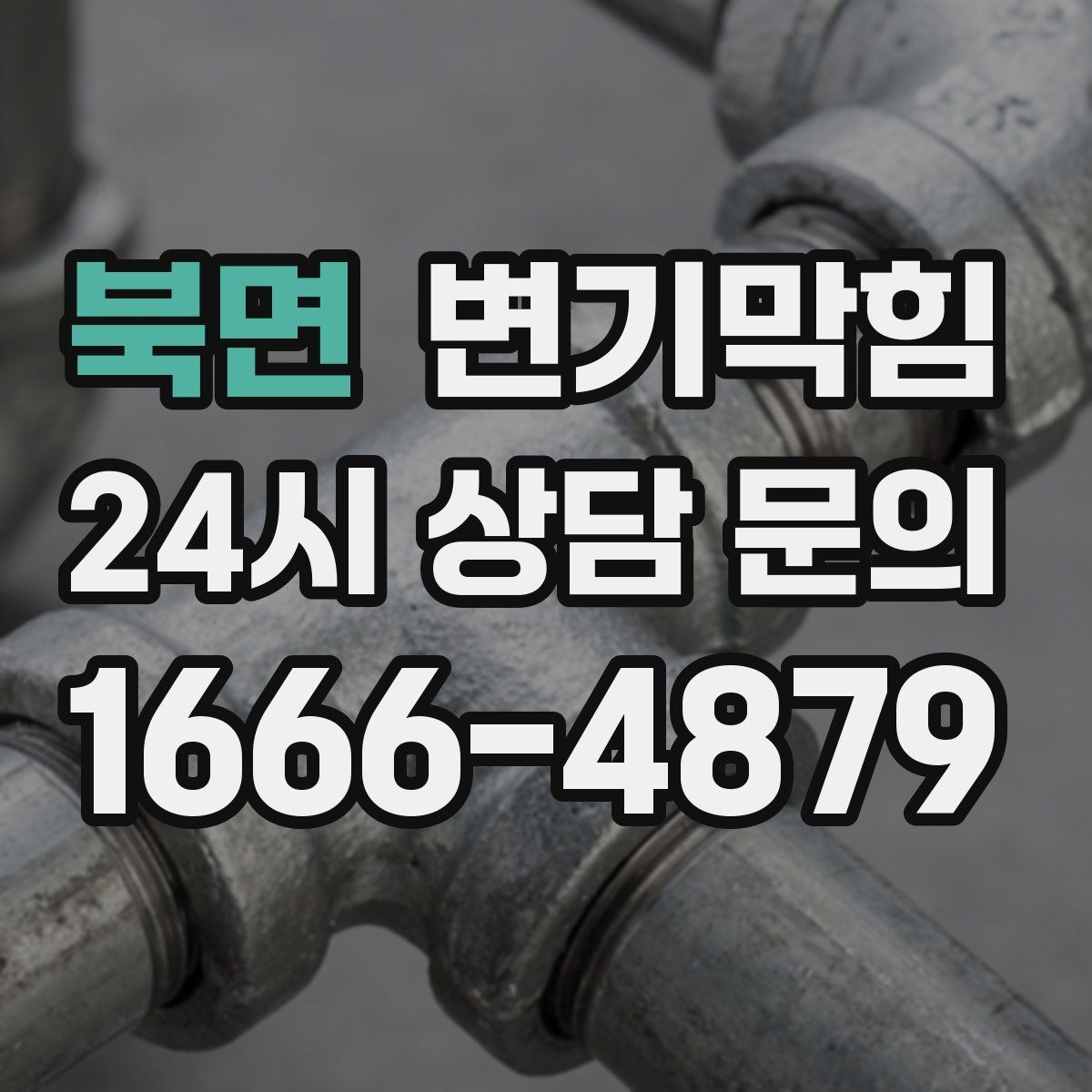 북면 변기막힘 카페 화장실막힘 향 유지 복구