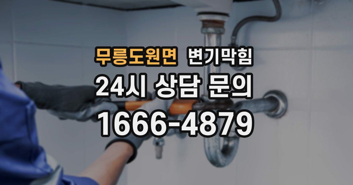 무릉도원면 변기