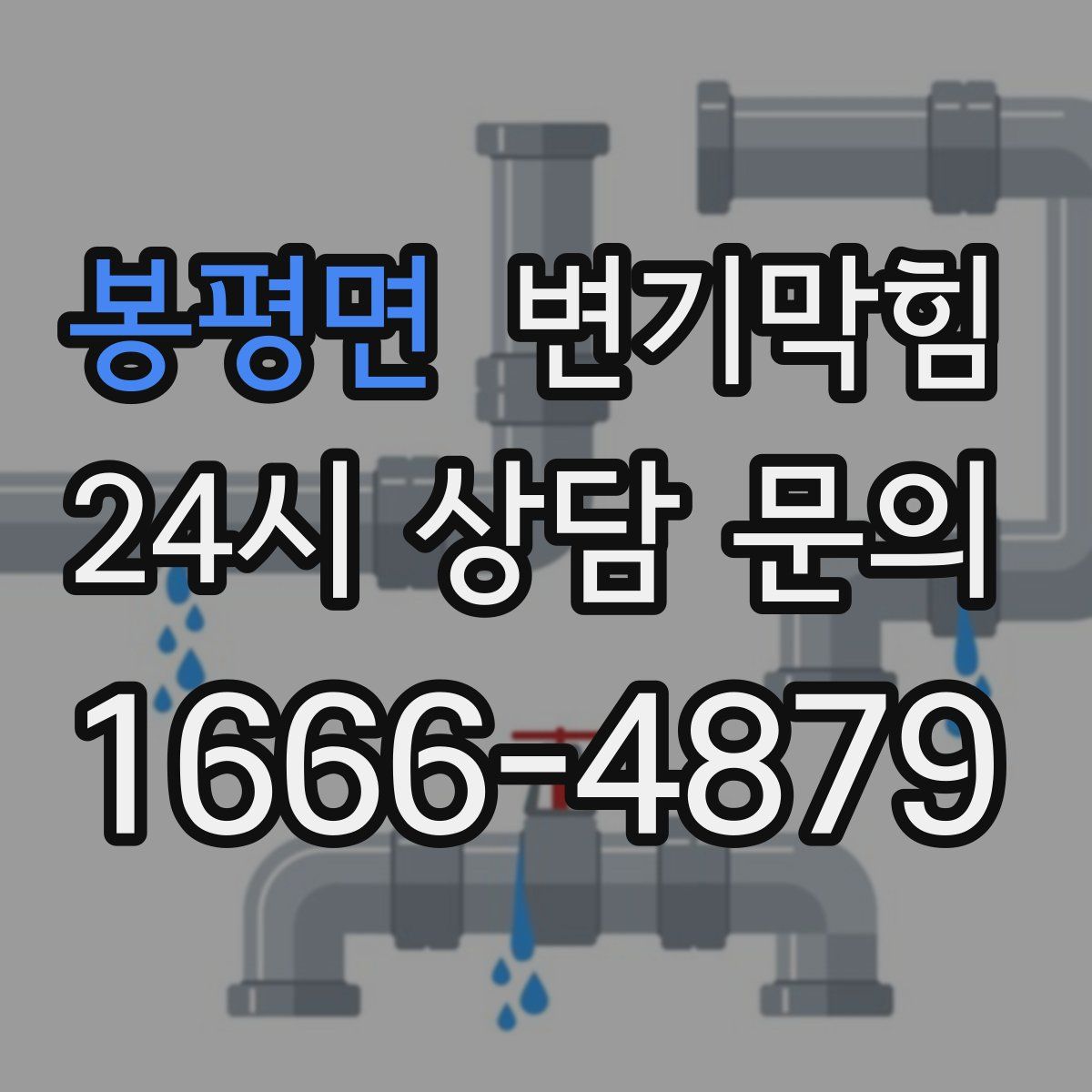 봉평면 변기막힘