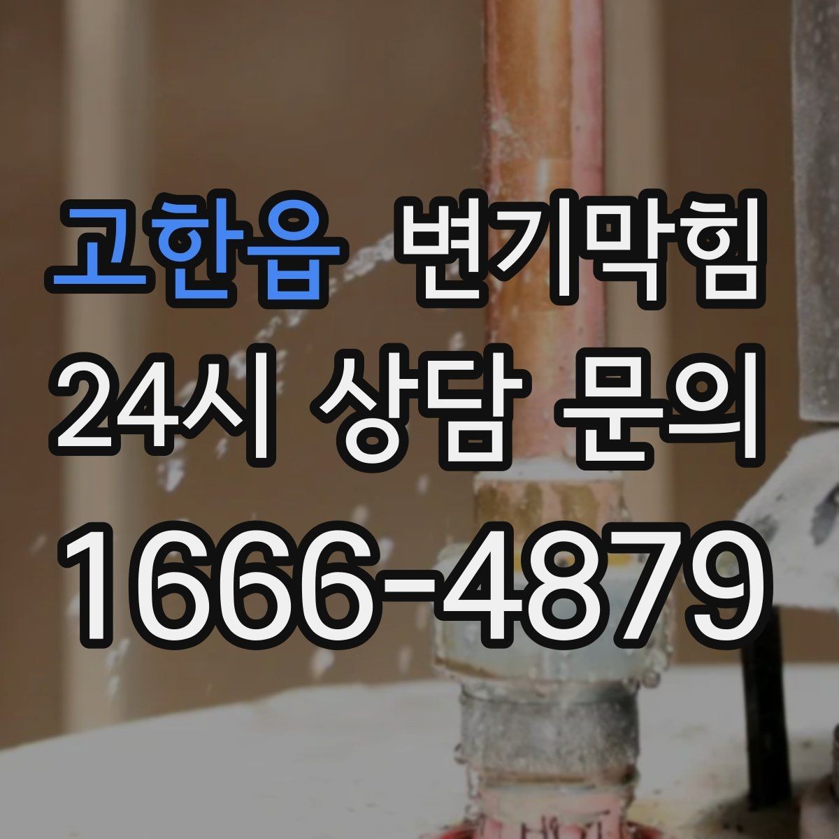 고한읍 변기막힘 변기뚫는비용 견적 전 질문 모음