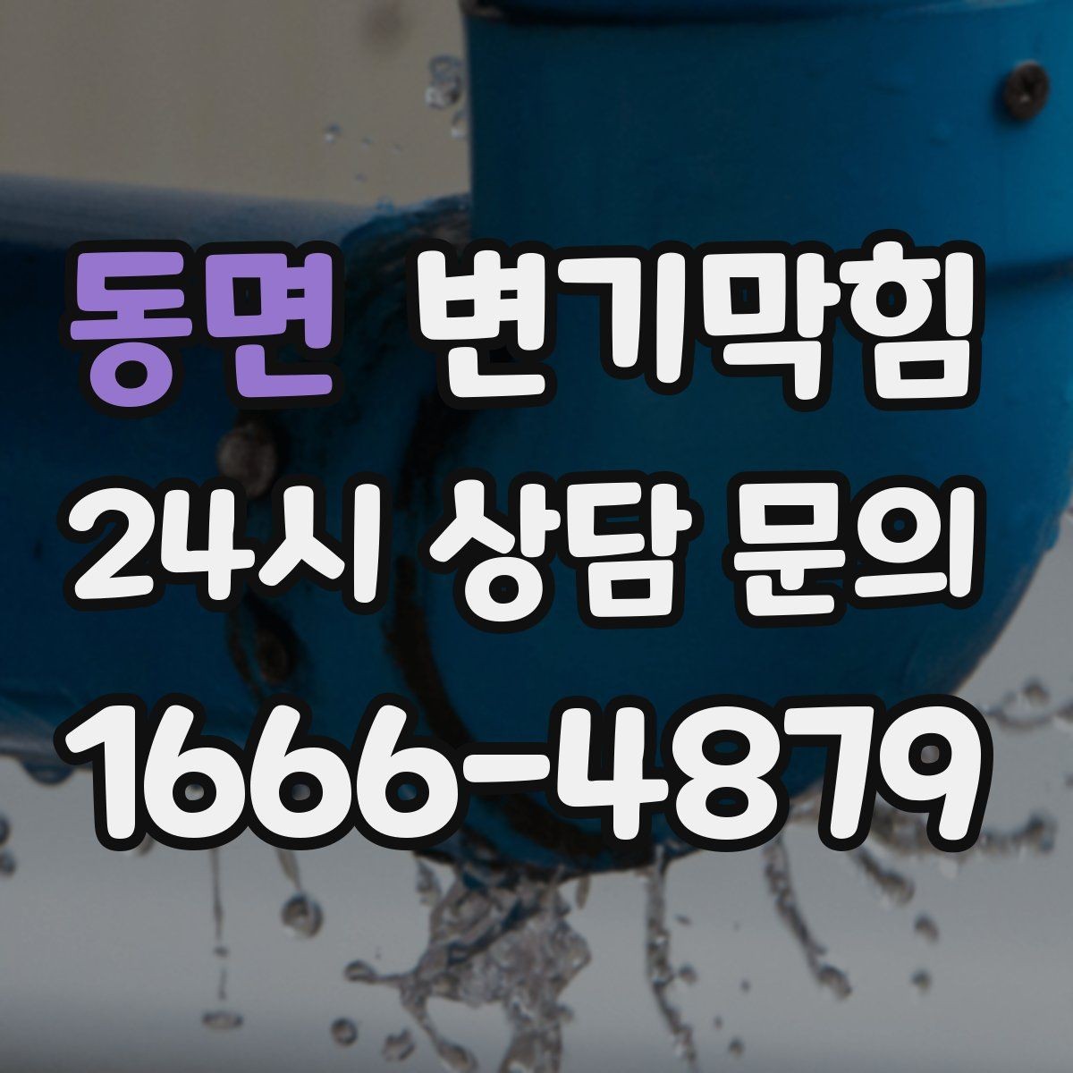 동면 변기막힘 변기뚫는업체 방문 전 바닥 정리 팁