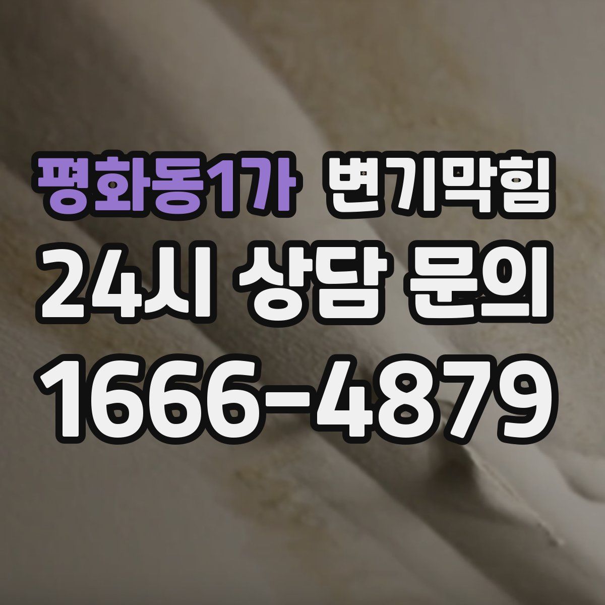 평화동1가 변기막힘