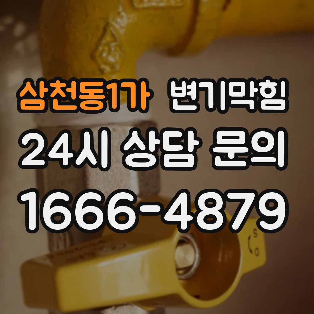 삼천동1가 변기막힘