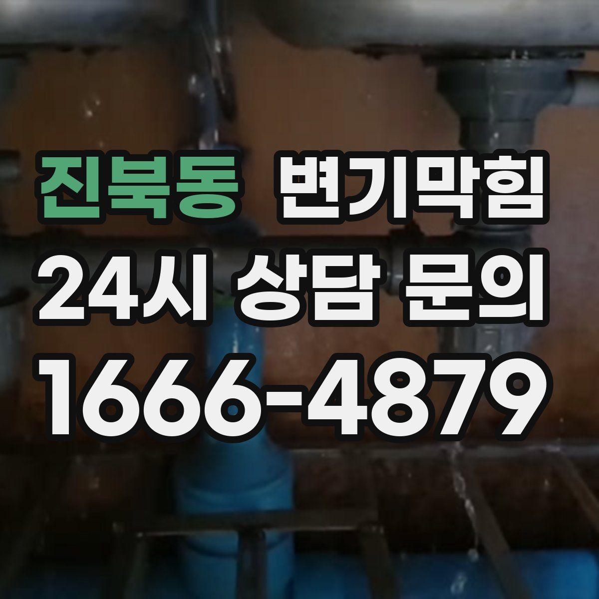 진북동 변기막힘