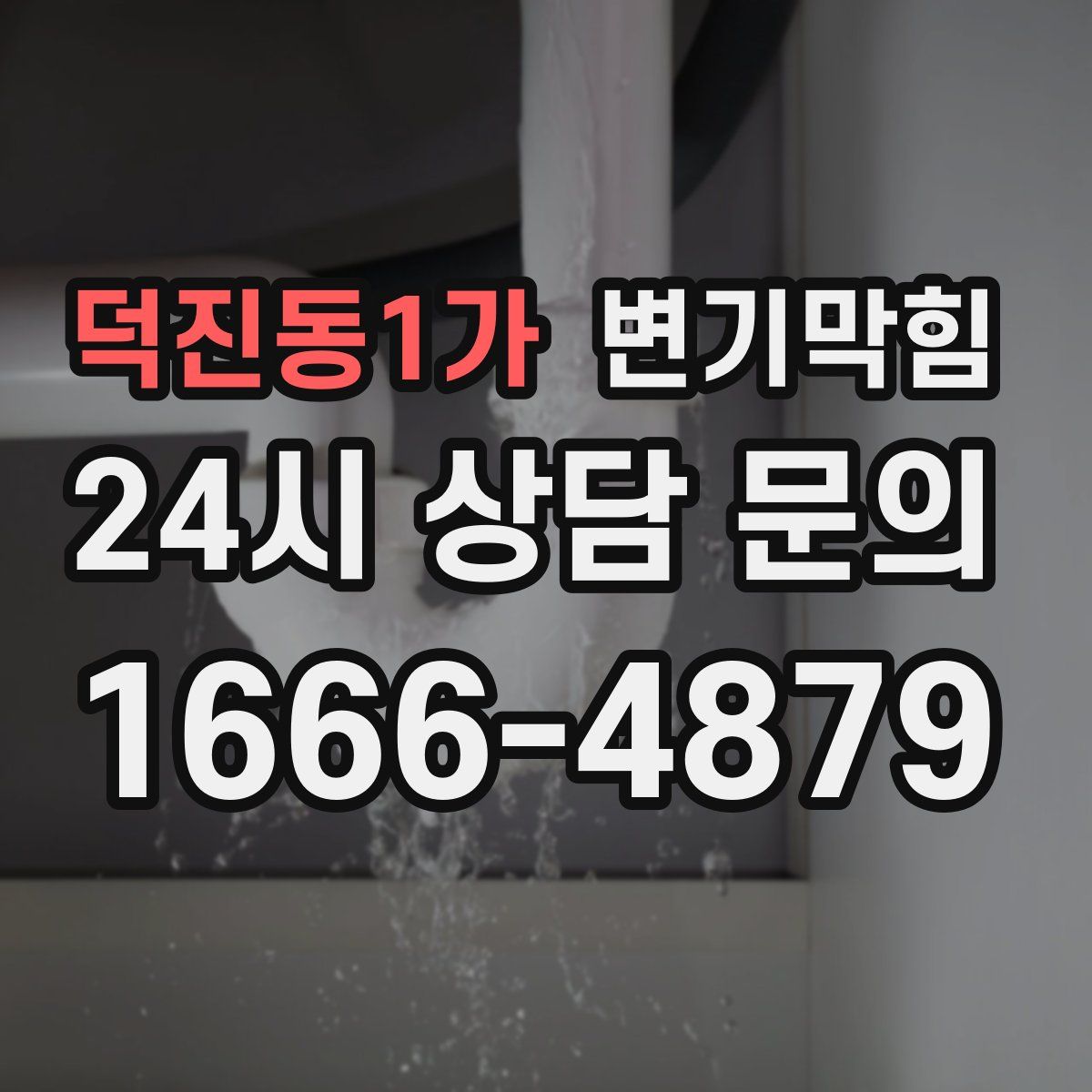 덕진동1가 변기막힘