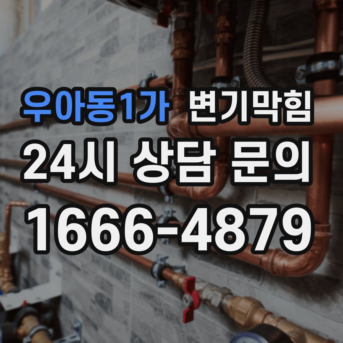 우아동1가 변기막힘