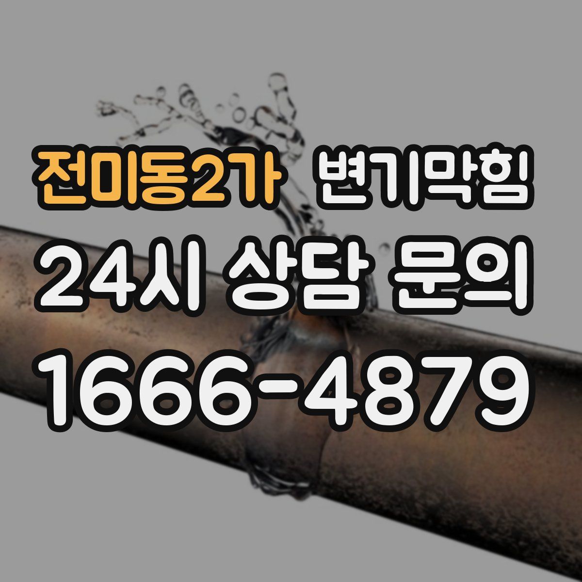 전미동2가 변기막힘