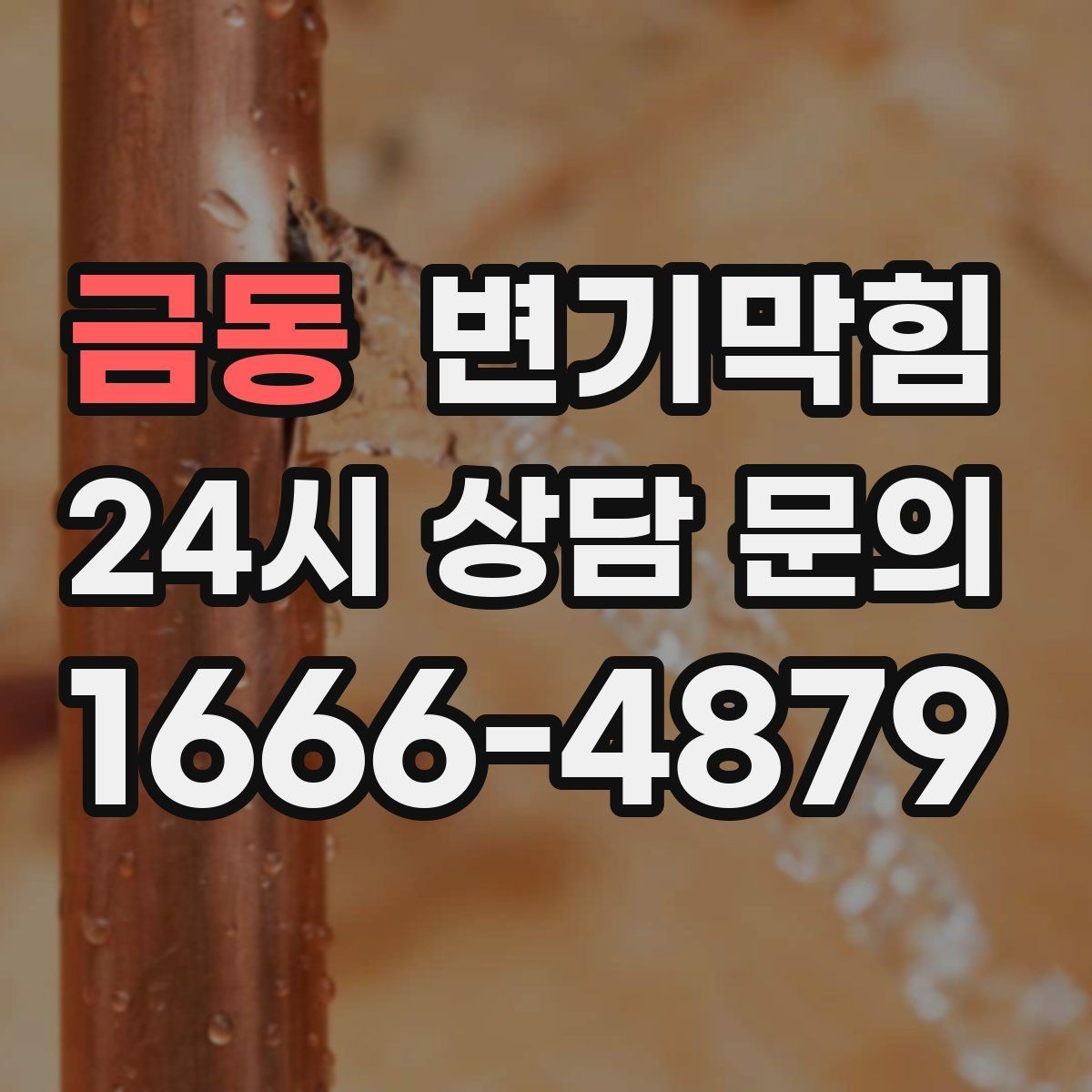금동 변기막힘 빌라 배수구막힘 플러싱 시간 최적화