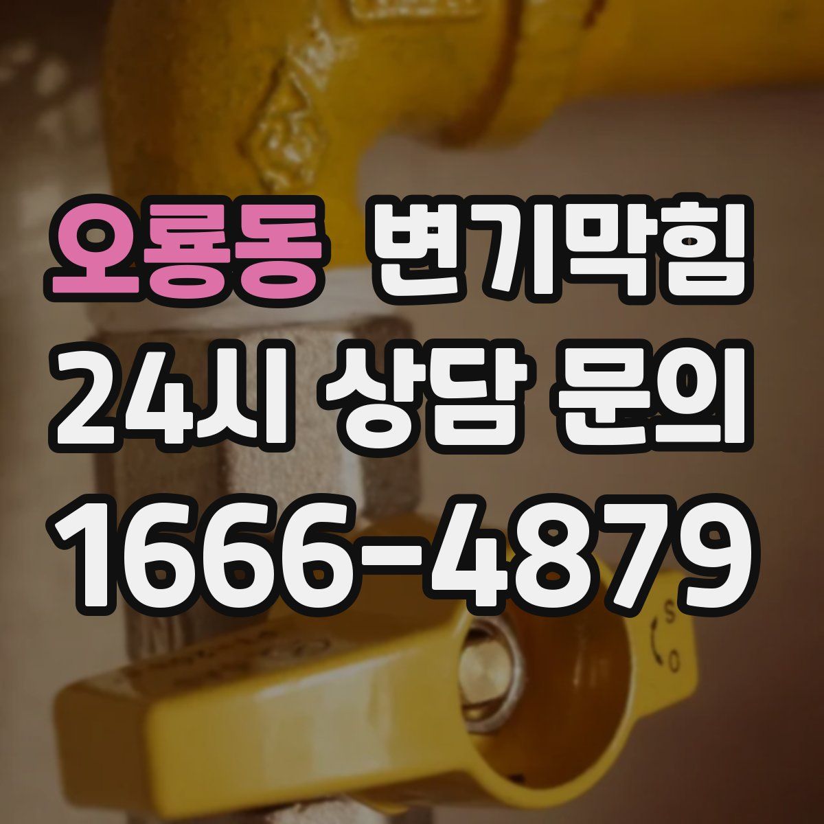 오룡동 변기막힘