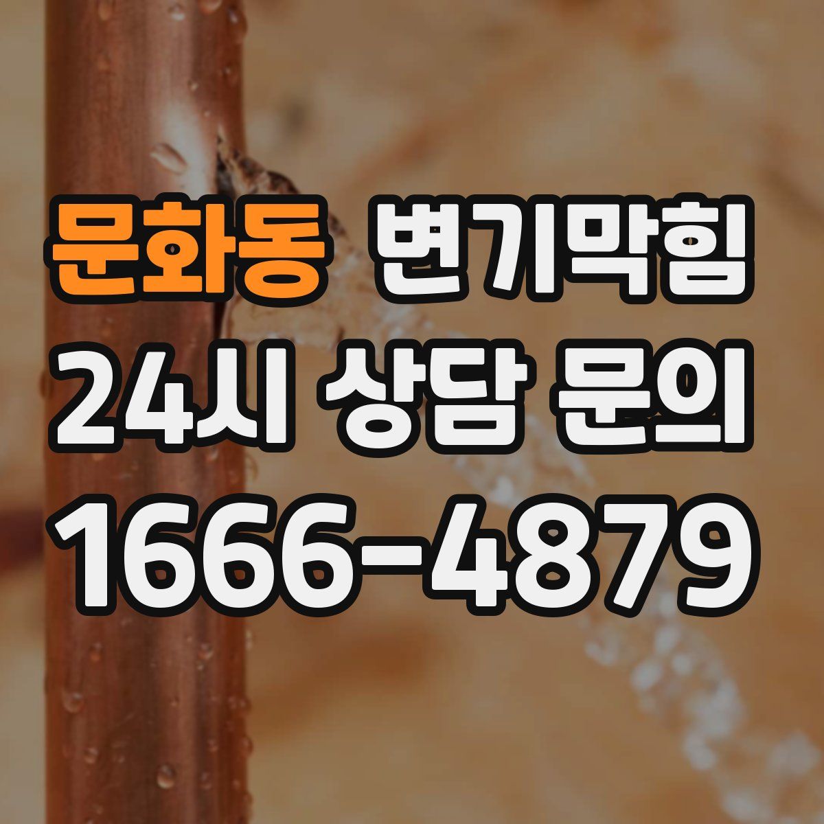 문화동 변기막힘