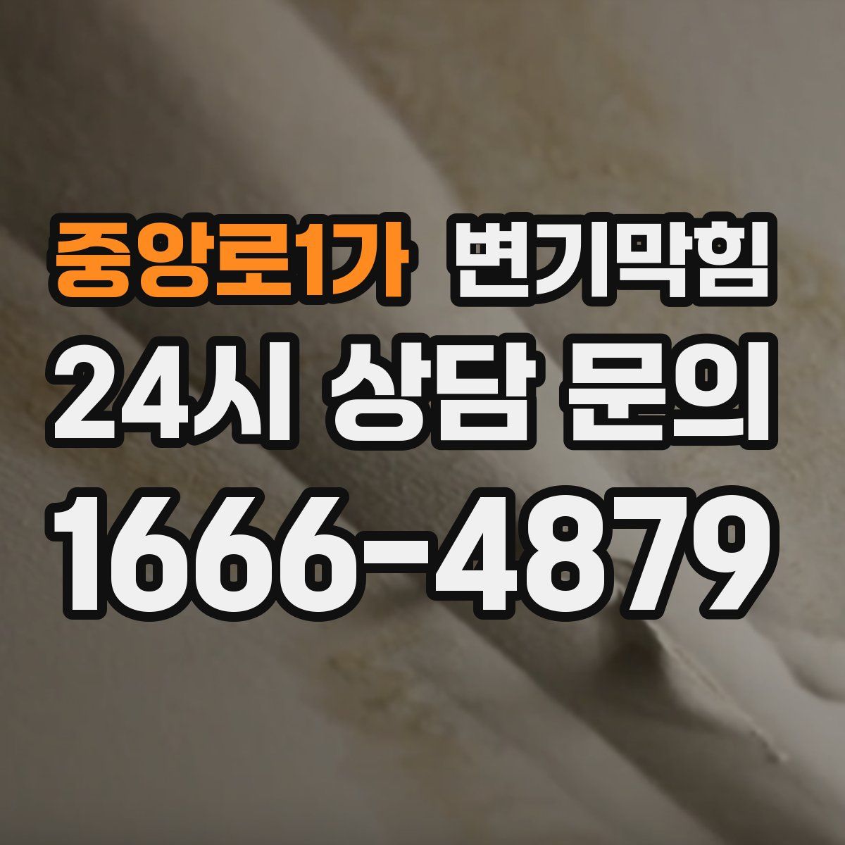 중앙로1가 변기막힘